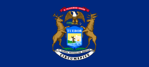 Michigan state flag